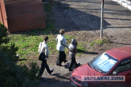 Новые "Свидетели ... "