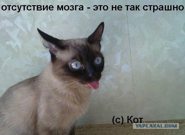 Wargaming 27