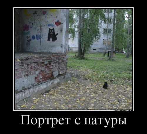 Веселые картинки