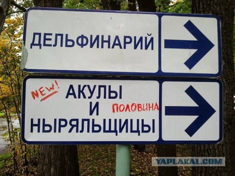 Весёлые картинки