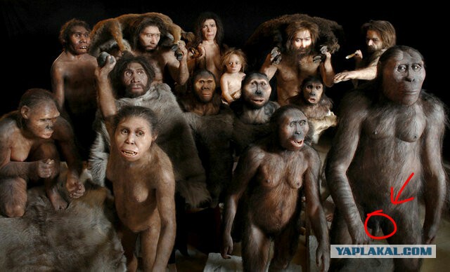 Нашел старое фото