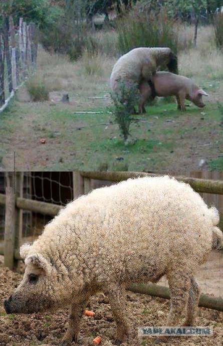 Премьер Турции заявил, что Крым — это не Россия