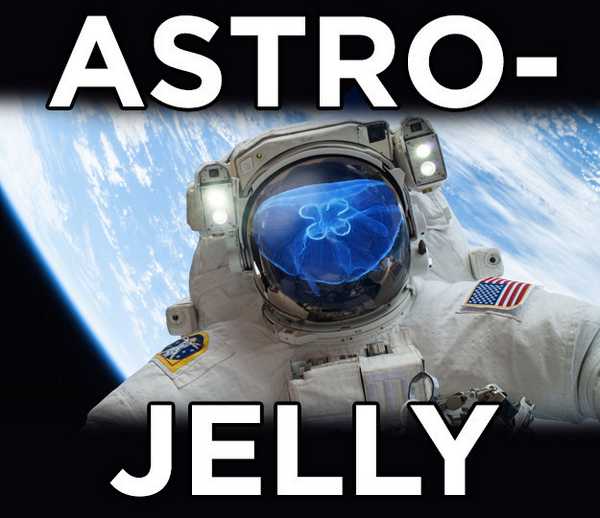 Факты, в которые сложно поверить