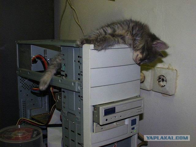 IT-Картинки