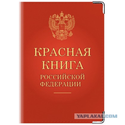Ищет невесту, не растленную школой и институтом и без подруг