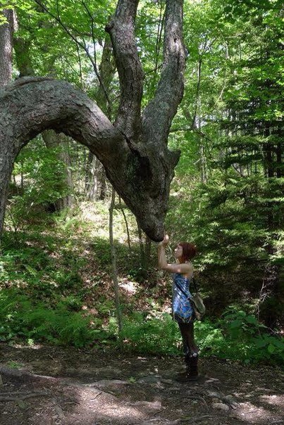 Картинки разные