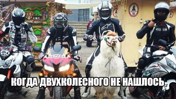 Подборка картинок на 05.04.16