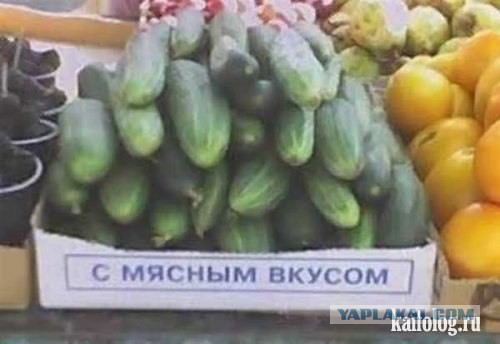 Это Россия, детка!