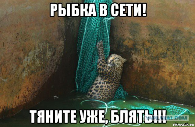 Подборка интересных и смешных картинок