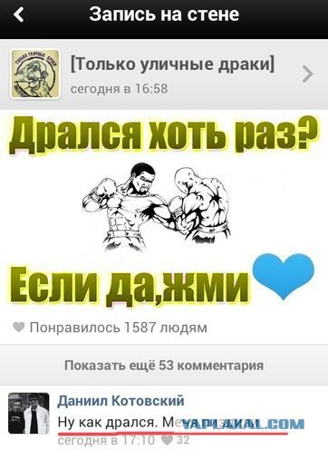 Быдло на отдыхе