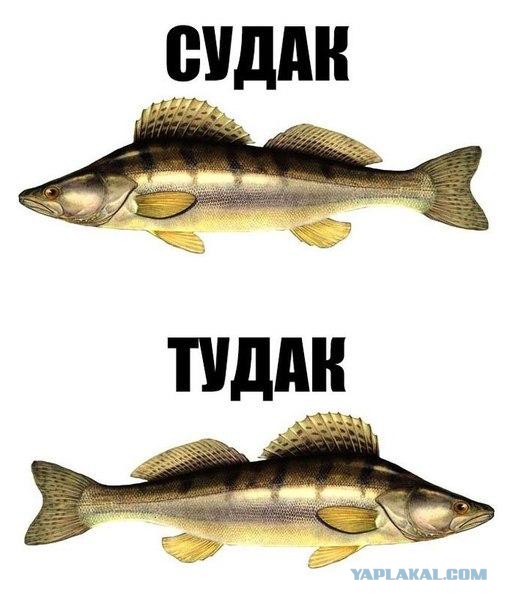 2013 и 2016. Найди 5 отличий