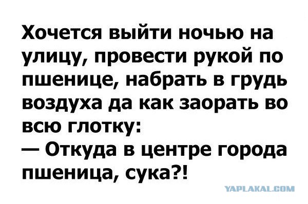 Смешные комментарии из социальных сетей 14.10.2016