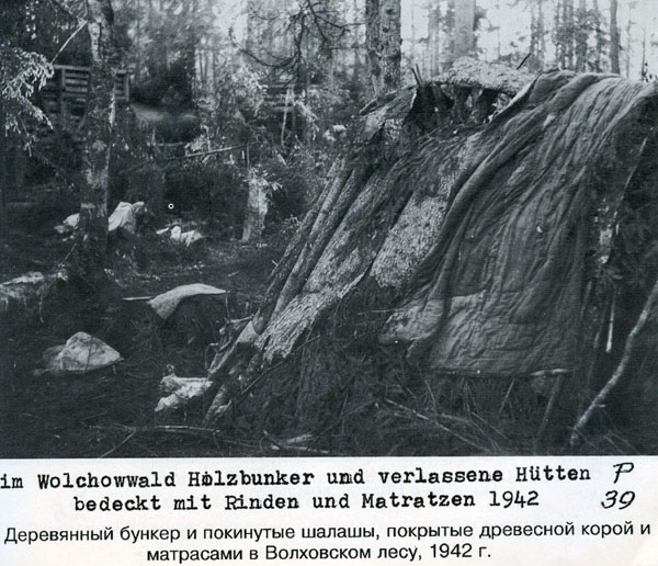Волховский фронт. 1942. Взгляд с той стороны.