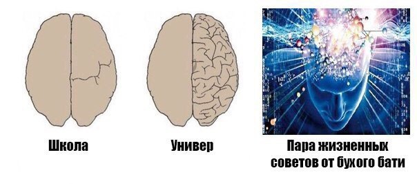 Абсурд зашкаливает