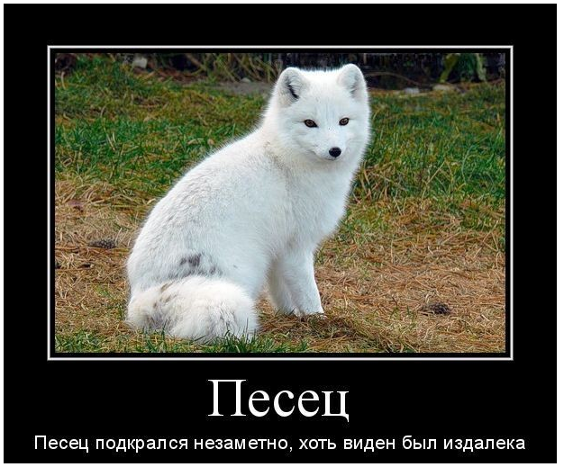 Большая реформа ОСАГО: процесс начался