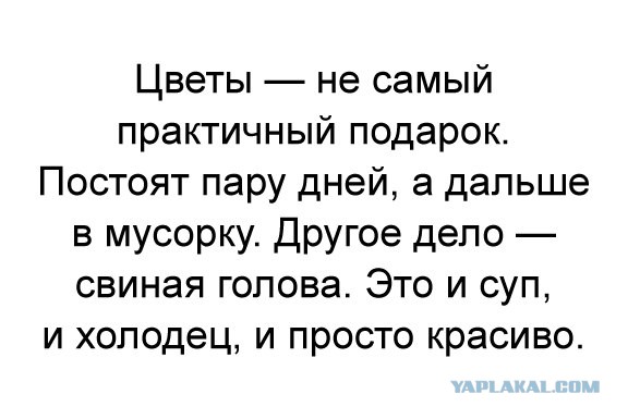 Сама дура или мужик жмот? Страдания к 8 марта.