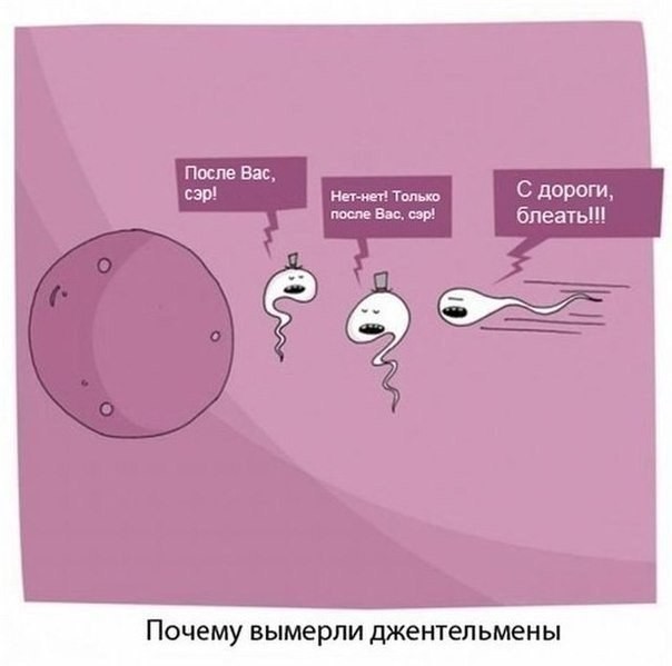 Подборка интересных и веселых картинок