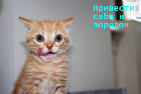 С ПЯТНИЦЕЙ!