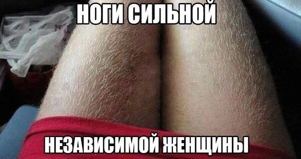 Не очень светлый и абсурдный юмор