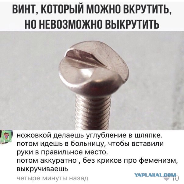 Пятничный абсурд и деградация приветствует вас!