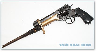 Дрессировка хозяина дрессированной собаки