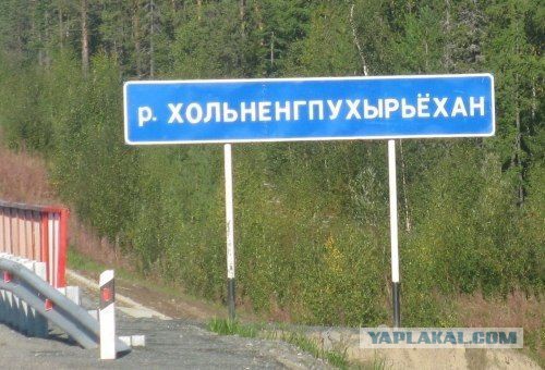 По родным просторам: забавные шутки, подкинутые морфологией русского языка на яндекс.картах