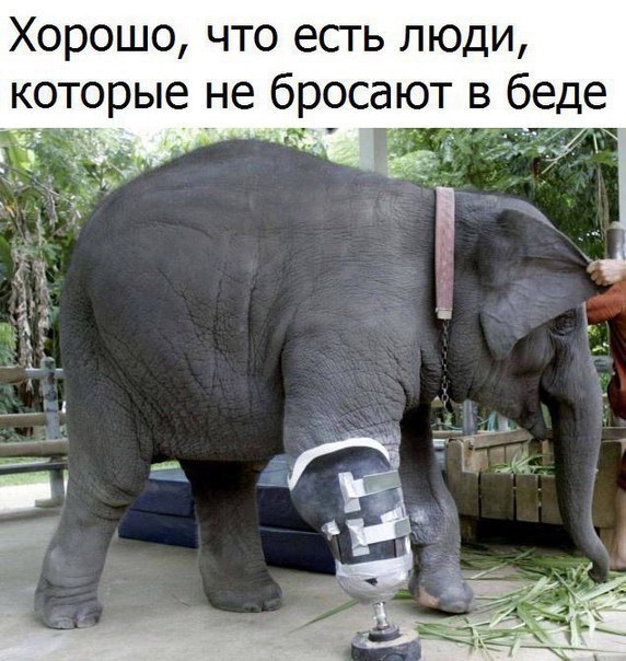 Деградашки на пятницу