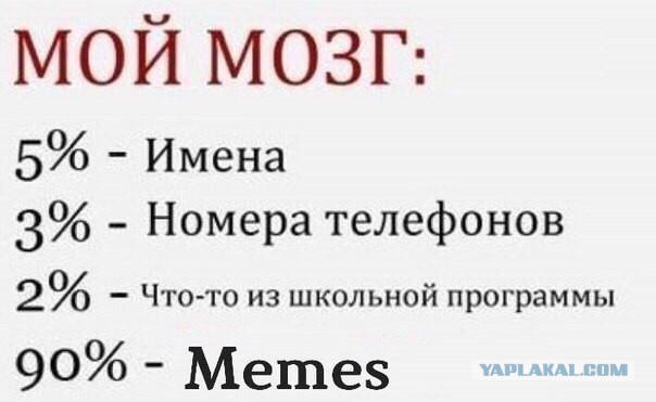 Самые известные мемы в истории Интернета