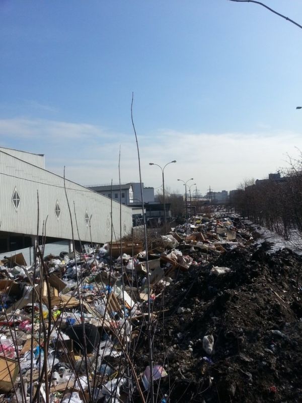 Вполне ожидаемые последствия закрытия полигонов ТБО в Подмосковье