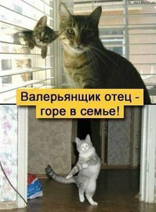 Не пью...