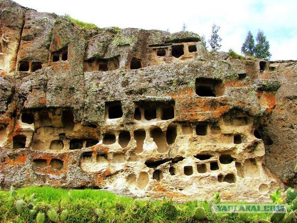 Маркиз-свинопас. История одного бастарда