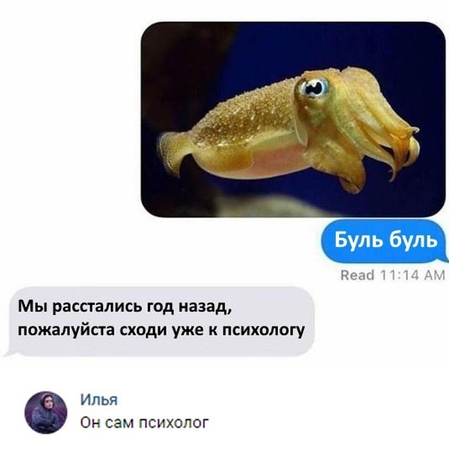 Нестандартный юмор