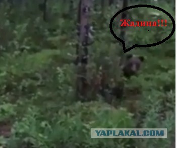 Финляндия. Финн с титановыми ... нервами