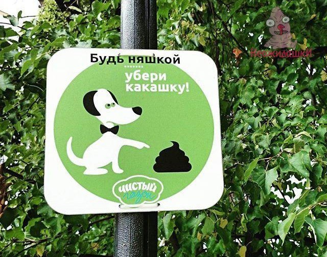 Немного картинок на вечер