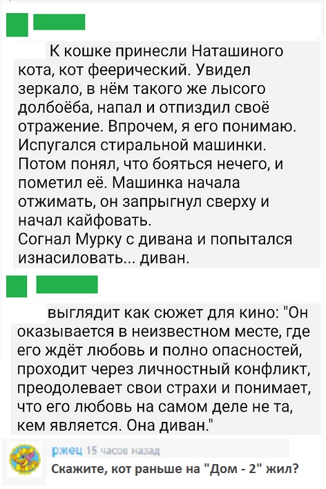 Смешные комментарии из социальных сетей 23.11.2018