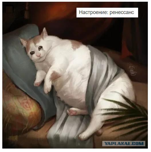 Немного картинок в эту субботу