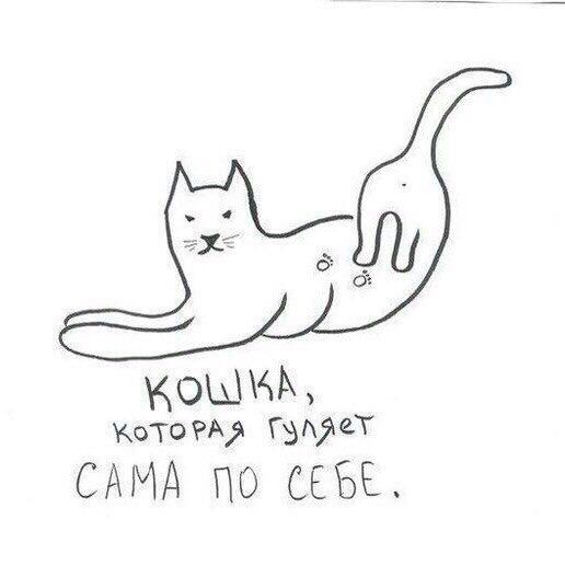 Не очень адекватный юмор