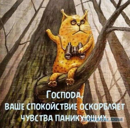 Я буду много извиняться