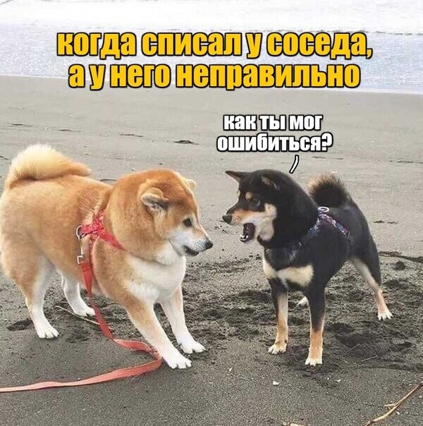 Немного картинок для настроения 24.05.20