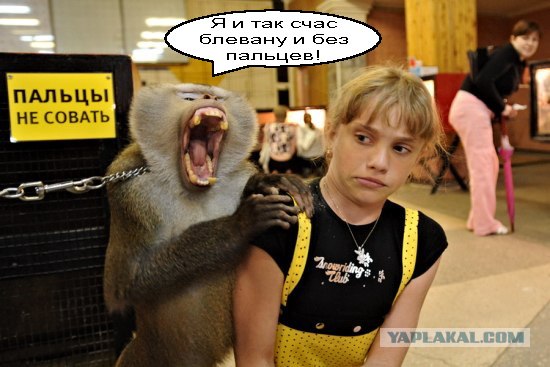 Фотожаба: Не совать!