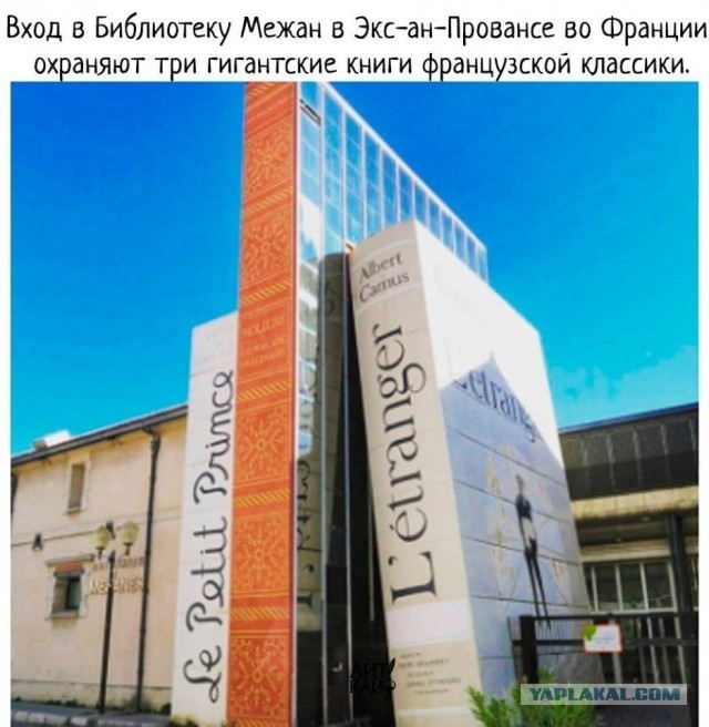 Свинегрет: картинки, надписи и прочее на 31.07 или №28