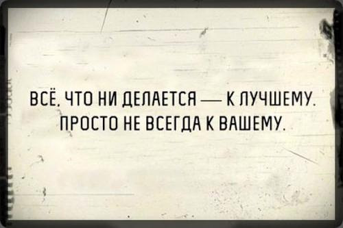 Фотки и картинки: юморные и красивые, забавные и милые 13.09.20