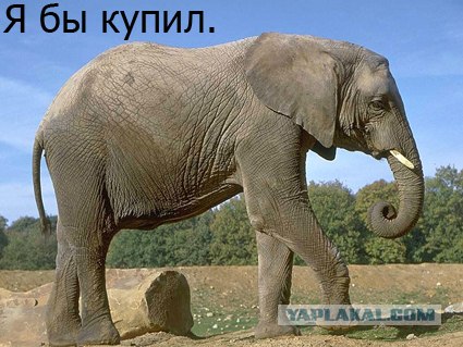 Фотожаба: А ты?