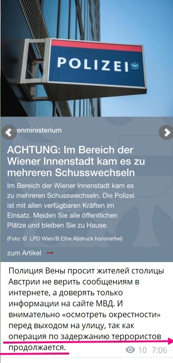 Очевидцы публикуют видео из центра Вены, где, как сообщают местные СМИ произошло нападение на синагогу