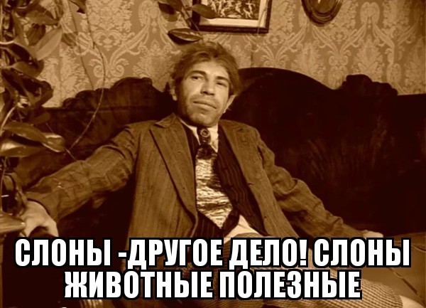 Слоновий рэкет