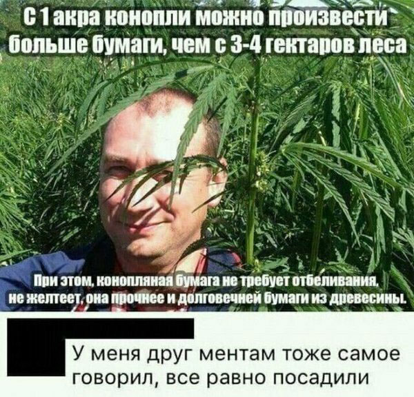 Когда стоит паниковать