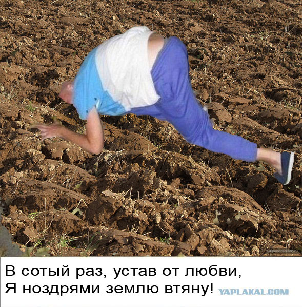 Фотожаба: ...как будто он не пьяный