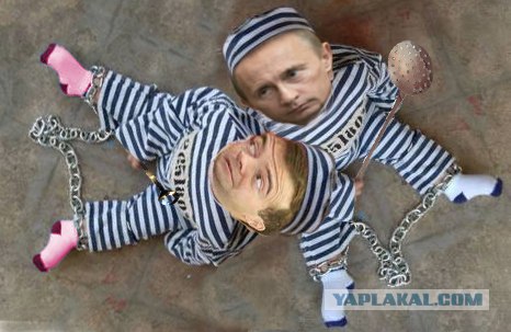Ролевые жабы