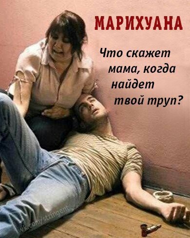 Не травись!