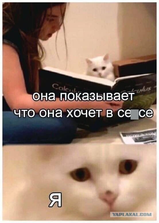 Картинки и мемы для настроения 023
